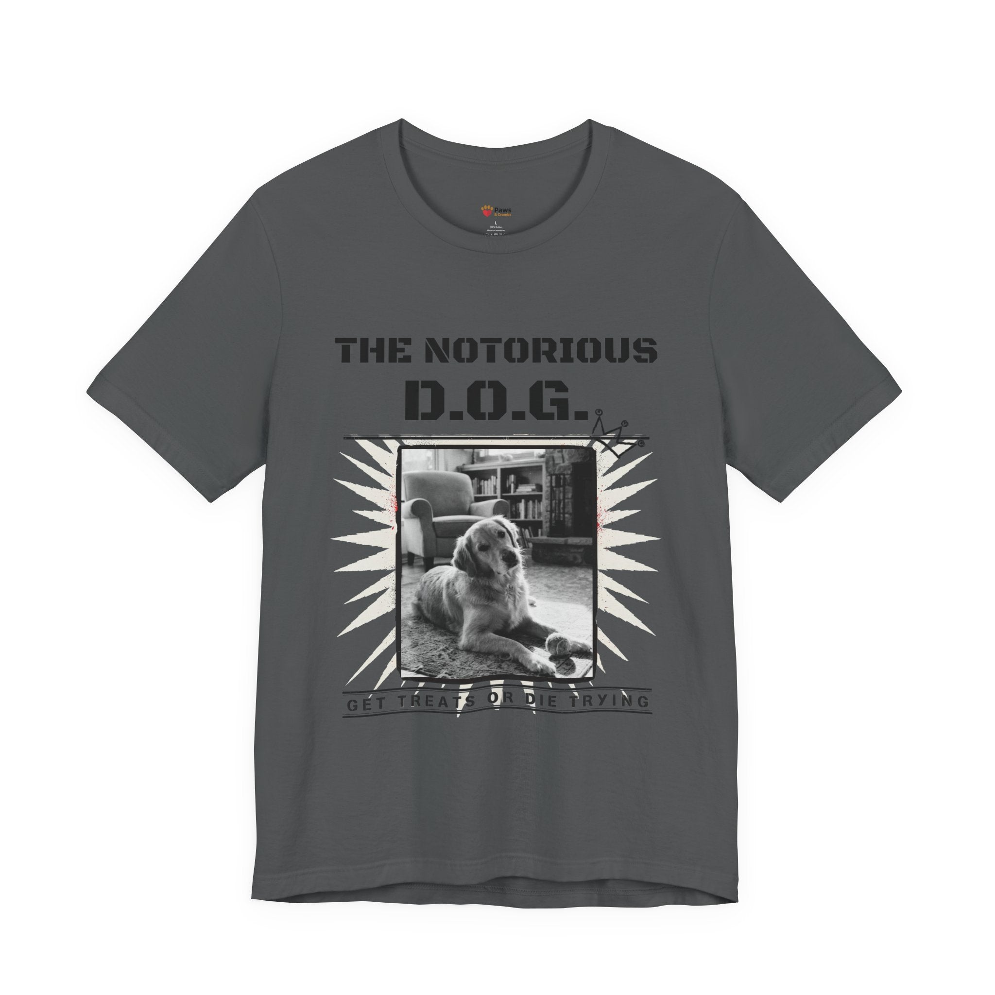 Custom Dog Album Cover Shirt — Your Dog's Photo + Name