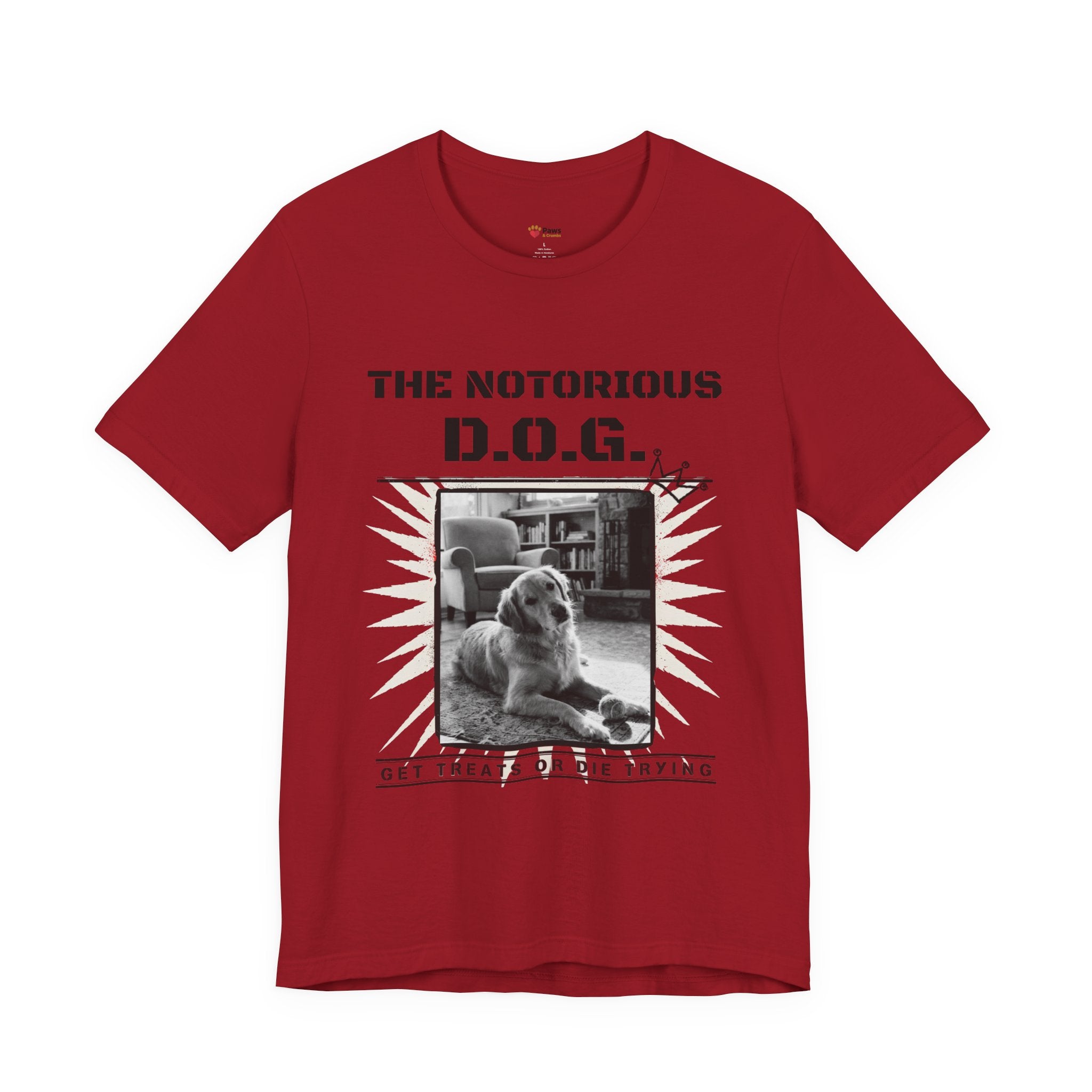 Custom Dog Album Cover Shirt — Your Dog's Photo + Name