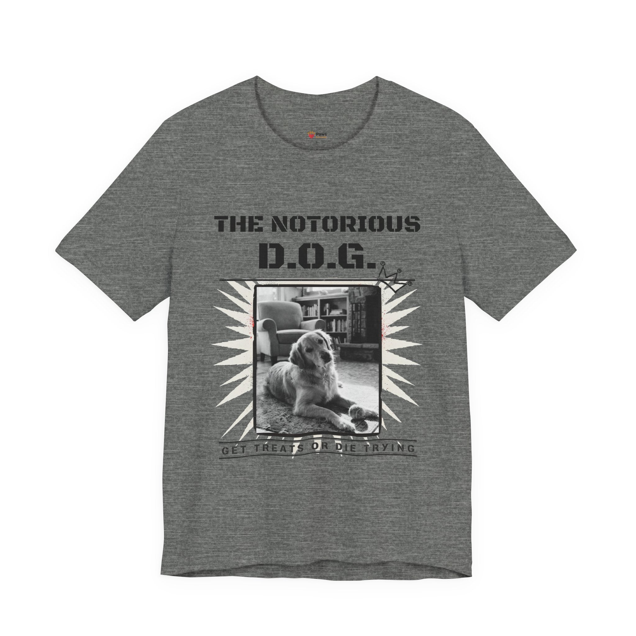 Custom Dog Album Cover Shirt — Your Dog's Photo + Name