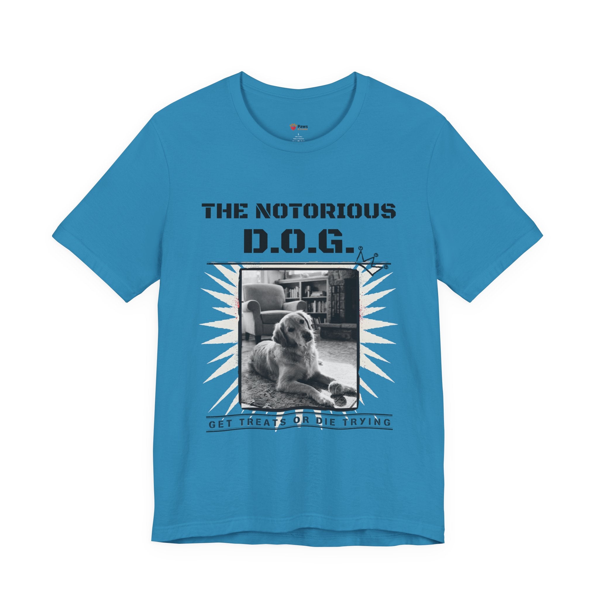 Custom Dog Album Cover Shirt — Your Dog's Photo + Name