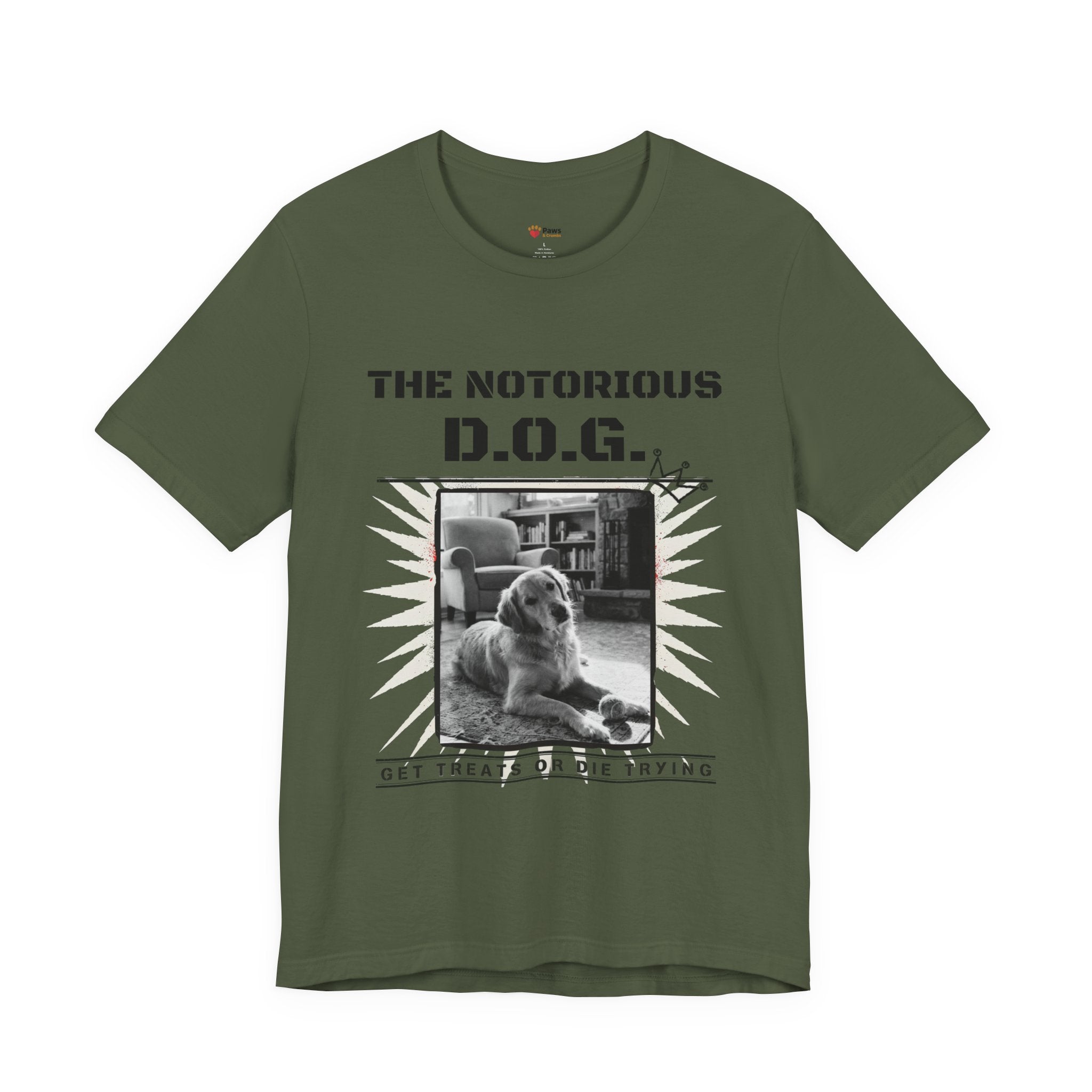 Custom Dog Album Cover Shirt — Your Dog's Photo + Name