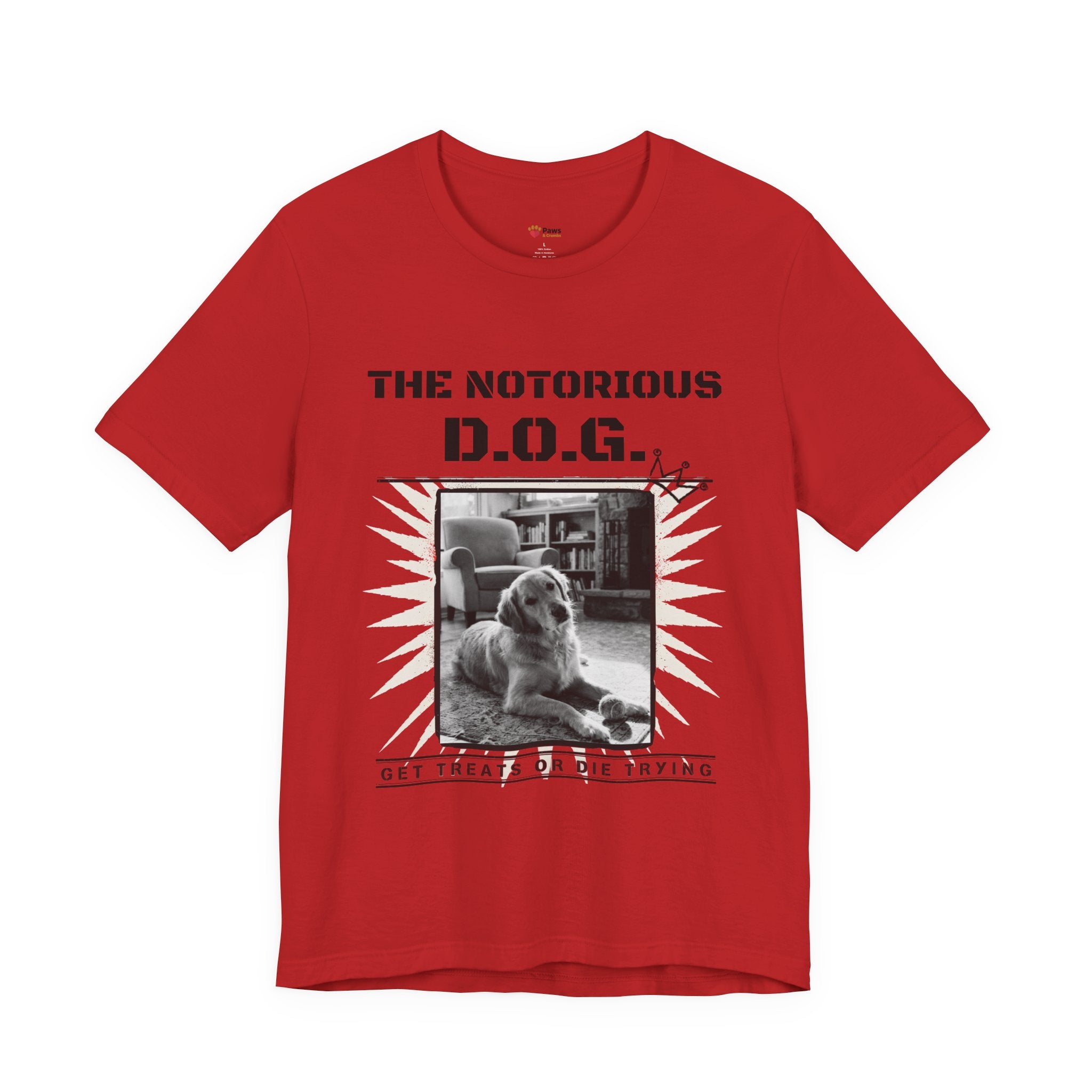 Custom Dog Album Cover Shirt — Your Dog's Photo + Name